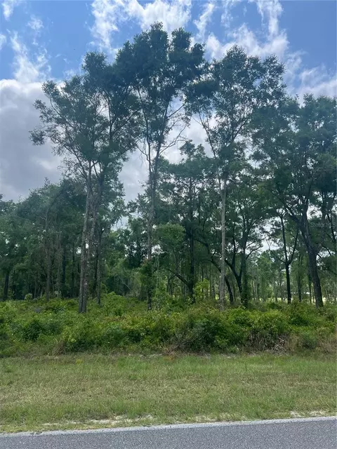 SW Ichetucknee Avenue, Lake City, FL 32024