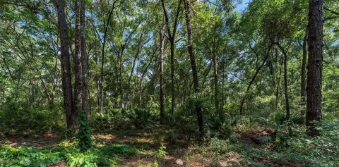 Tbd SE 142nd Lane, Summerfield, FL 34491