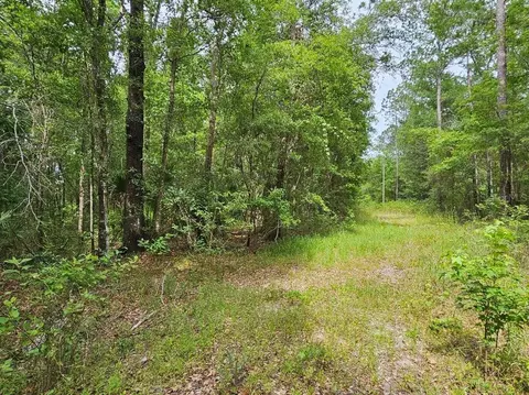 4515 SE 152nd St, Hawthorne, FL 32640
