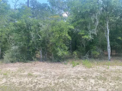 10715 W Dublin St, Crystal River, FL 34428