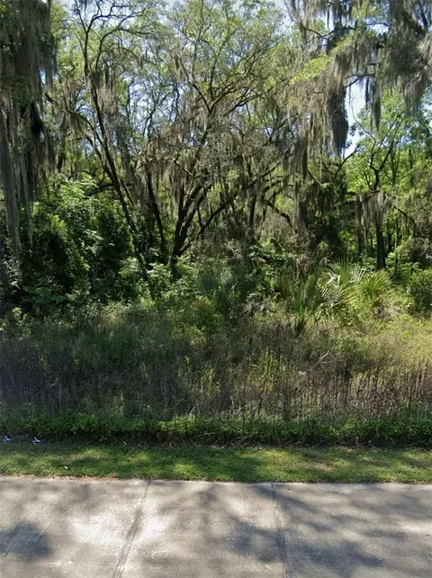 Tbd NW Martin Luther King Jr Avenue, Ocala, FL 34475