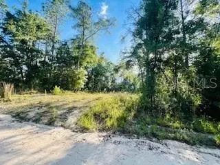 NW 18th Terrace, Bell, FL 32619