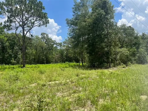 tbd NE 78th Ln, Bronson, FL 32621