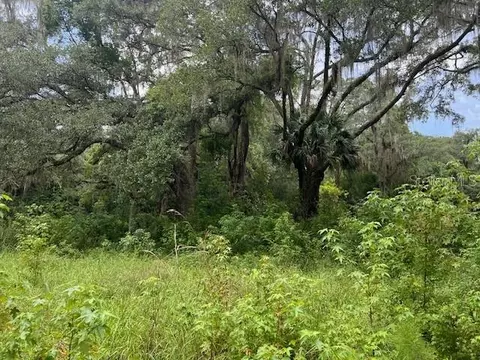 180 NW Church Ave, Micanopy, FL 32667