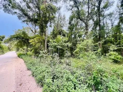 NW 67th Place, Bell, FL 32619
