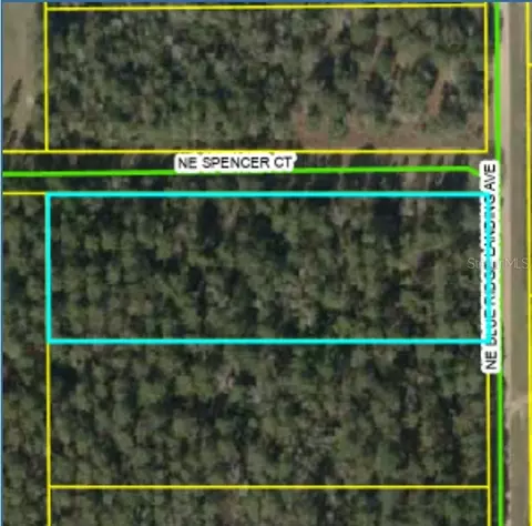 NE Blue Ridge Landing Avenue, Lee, FL 32059