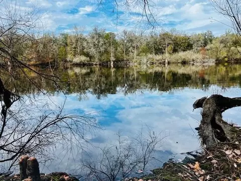 5229 NW 72nd Way, Bell, FL 32619