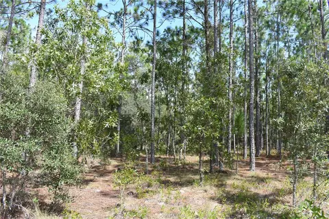 SE 136th Avenue, Dunnellon, FL 34431