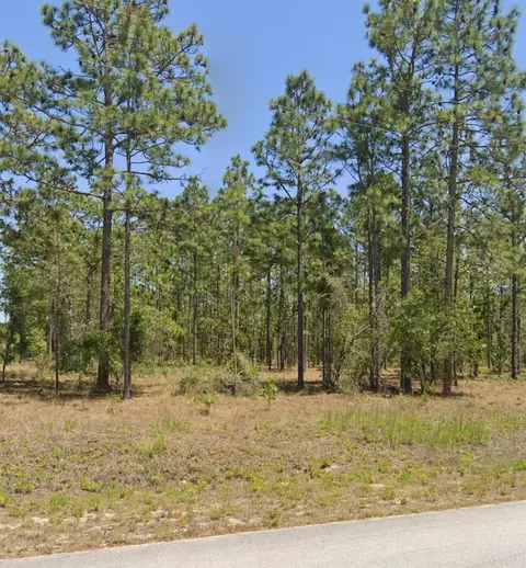 tbd NW Mandrake Dr, Dunnellon, FL 34431