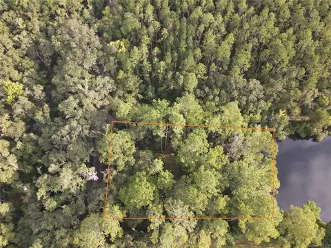tbd NW 5th St, Micanopy, FL 32667
