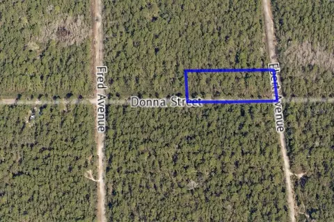000 Donna St, Hastings, FL 32145
