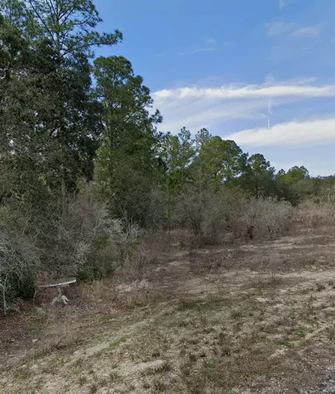 lot10 Softstone Dr, Webster, FL 33597