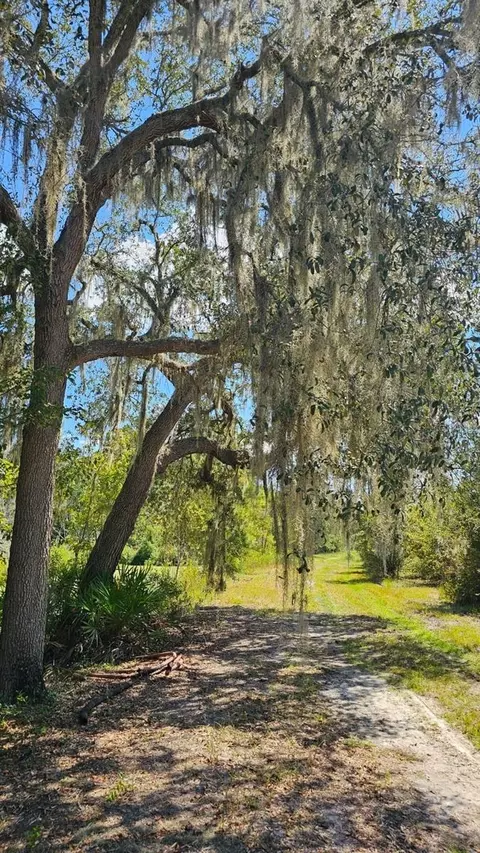 SE Blueberry Road, White Springs, FL 32096