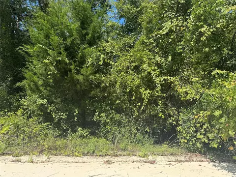 90 Th, Bronson, FL 32621