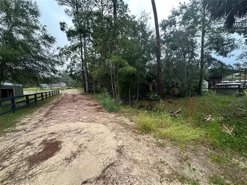 9 7th St NE, Steinhatchee, FL 32359 photo 5