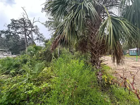 9 7th St NE, Steinhatchee, FL 32359 photo 3