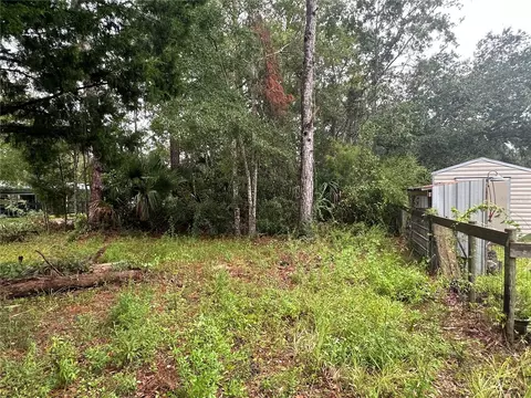 9 7th St NE, Steinhatchee, FL 32359 photo 4