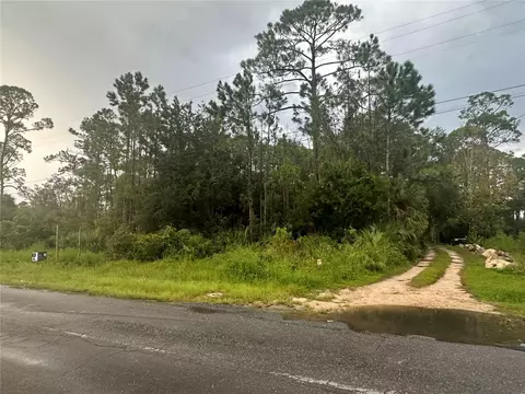 805 1st Ave SE, Steinhatchee, FL 32359 photo 7