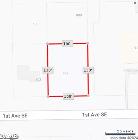 805 1st Ave SE, Steinhatchee, FL 32359 photo 3
