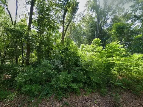 12213 NW 157th St, Alachua, FL 32615