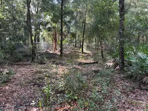 9876 W Wedgewood Ct, Crystal River, FL 34428