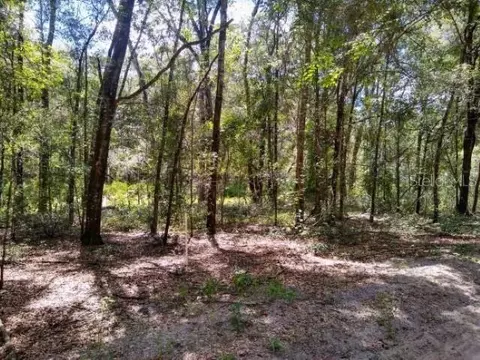 tbd SW 79th Pl, Archer, FL 32618