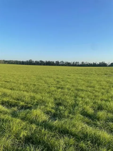 lot3 NW 72 Pl, Bell, FL 32619