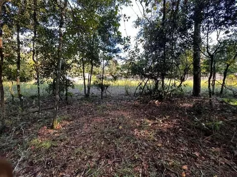 NW 55th Street, Bell, FL 32619