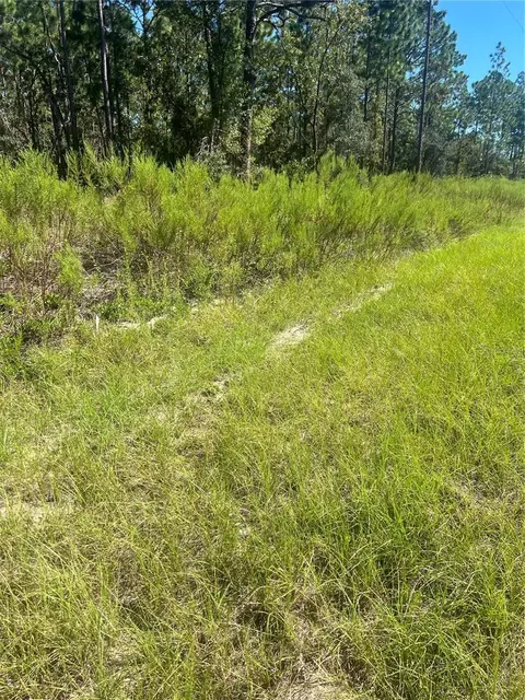 39 Sparrow Road, Dunnellon, FL 34431