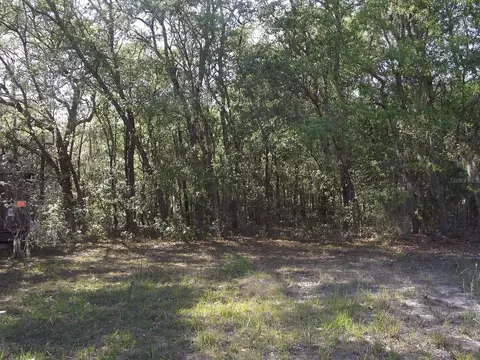 521 Michael Ave, Interlachen, FL 32148 photo 1