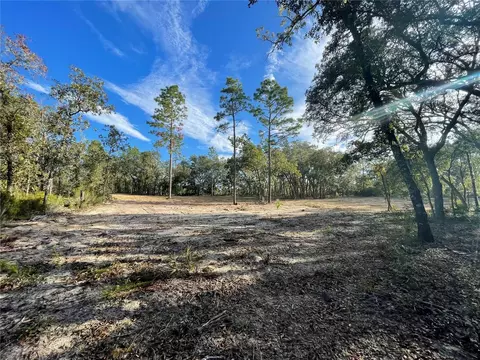 000 NE 90 St, Bronson, FL 32621