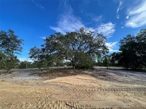 000 NE 100th Ter, Bronson, FL 32621