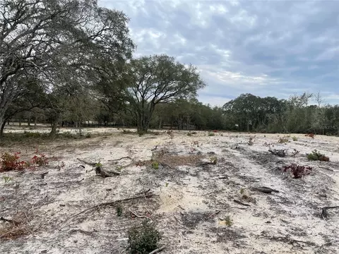 000 NE 72nd Pl, Bronson, FL 32621