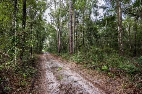 0 NE 175th Ave, Williston, FL 32696