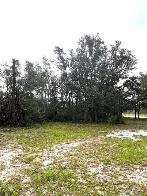 12150 NE 90th St, Bronson, FL 32621 photo 1