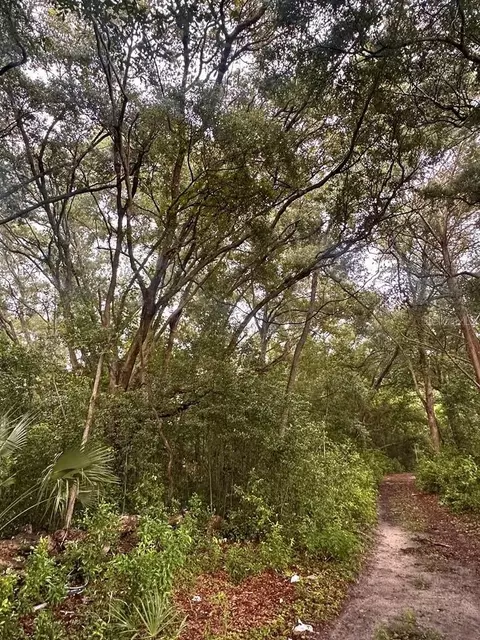 NE 30th Place, Williston, FL 32696