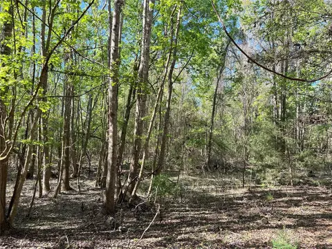 tbd SW Drew Feagle Rd, Fort White, FL 32038