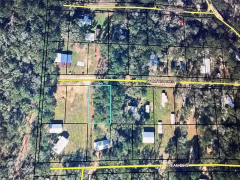 tbd Stumpknocker Trl, Vernon, FL 32462