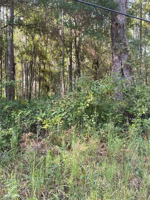 14303 NE 160th Ave, Waldo, FL 32694