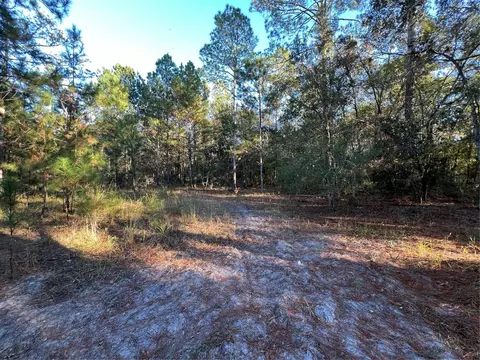 tbd SW Tustenuggee Ave #6, Fort White, FL 32038