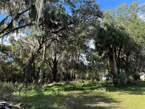 00 NW 217th St, Micanopy, FL 32667