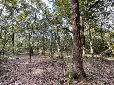 246 SW Stell Gln, Lake City, FL 32024