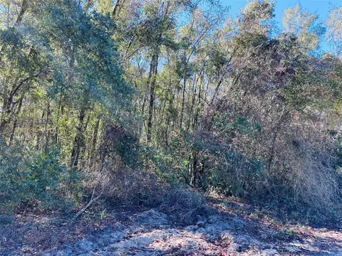 0 NW 110 St, Chiefland, FL 32626