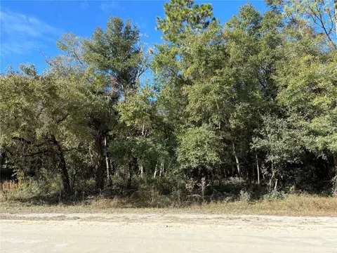 225 Th Dr, Hawthorne, FL 32640