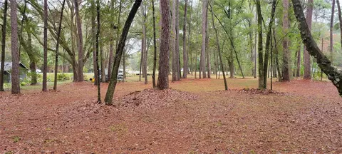 1260 SW 91st St, Gainesville, FL 32608 photo 7