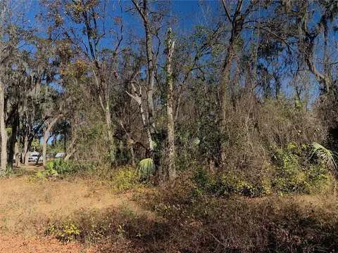 00 Faye St, Hawthorne, FL 32640