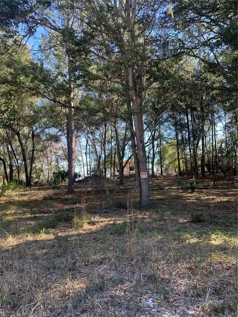 00 John St, Hawthorne, FL 32640