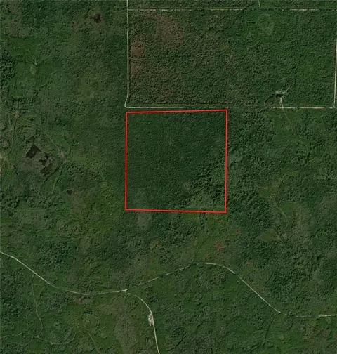 Lakebird Road, Perry, FL 32347
