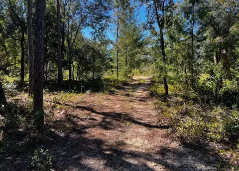 146 Westwood Dr, Interlachen, FL 32148