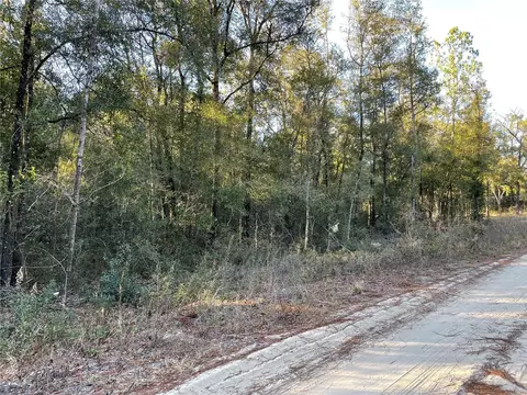 NE 110th Ave, Bronson, FL 32621